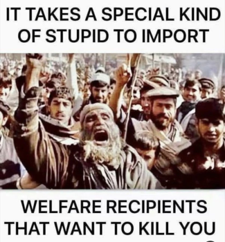 1791346373836.png
